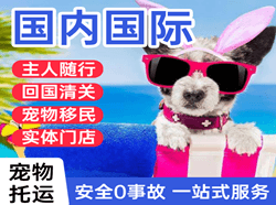 博乐阿拉山口航空货运国际宠物托运 【国